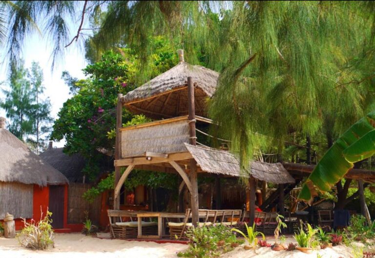 WhatsApp Image 2025-09-09 at 6.00.52 PM (1)