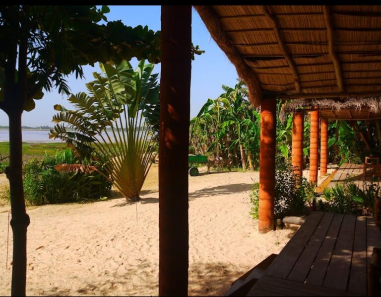 WhatsApp Image 2025-09-09 at 6.00.53 PM (1)