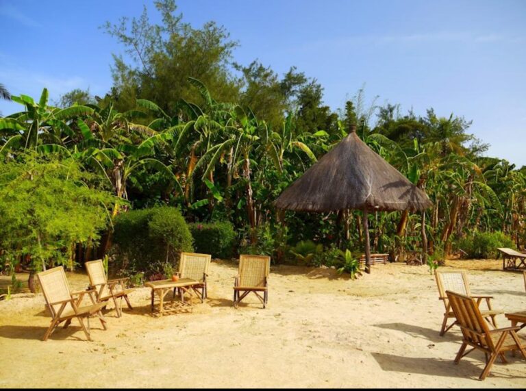 WhatsApp Image 2025-09-09 at 6.00.53 PM