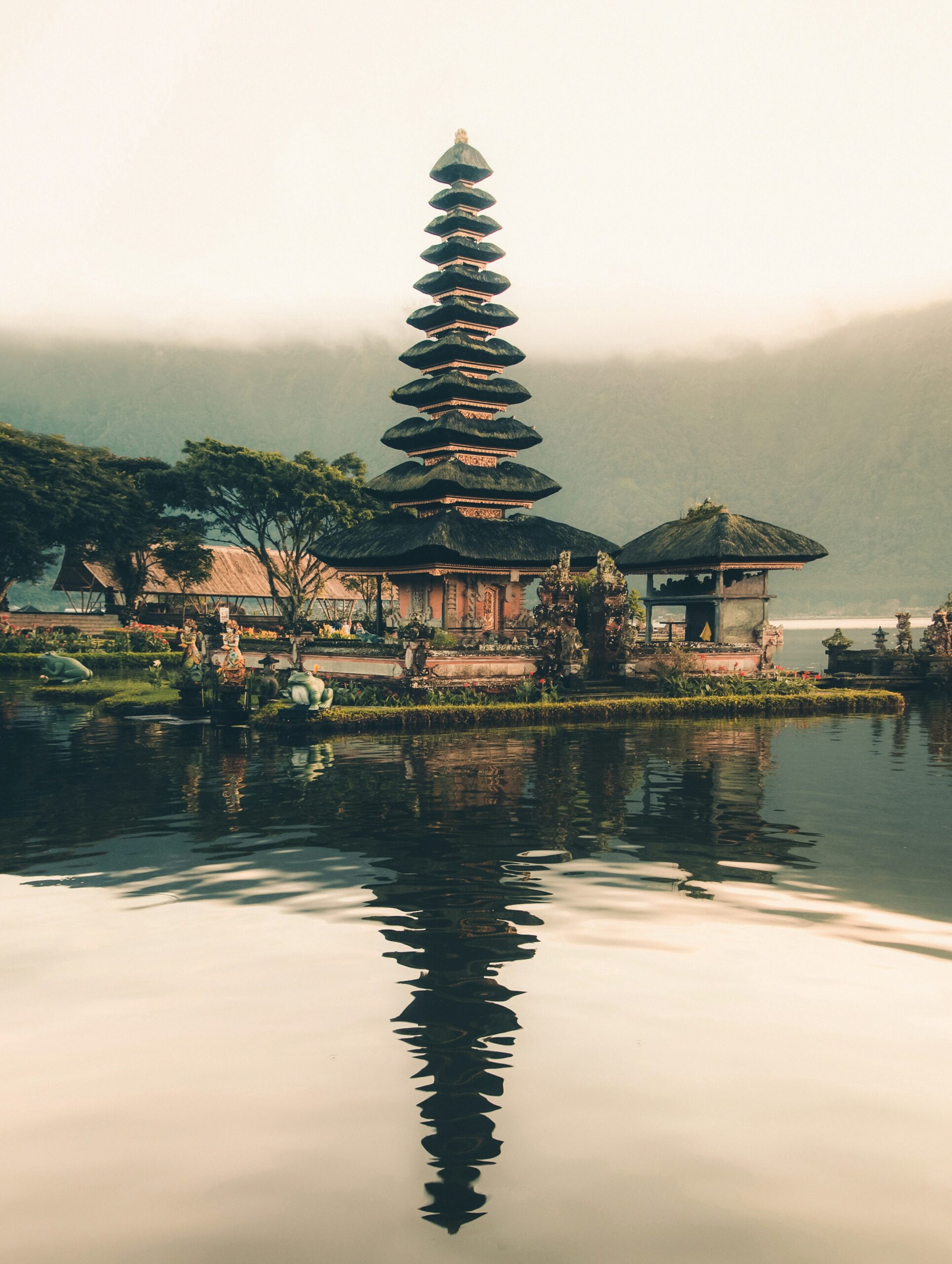 Lush rice terraces and jungle of Bali at golden hour
